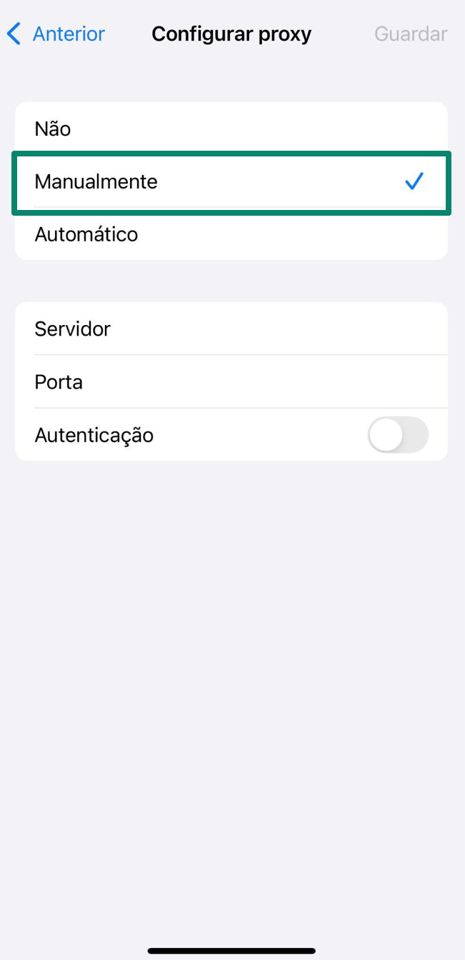 Configure Proxy manual server and port input iPhone