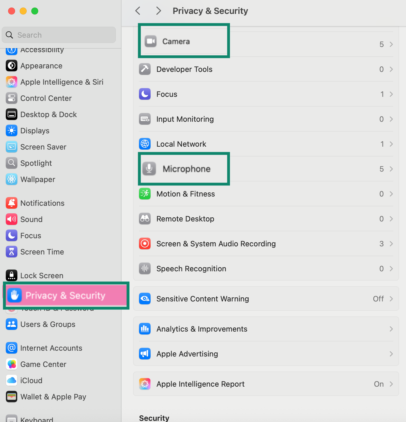 Privacy & Security section with Camera and Microphone permissions highlighted.