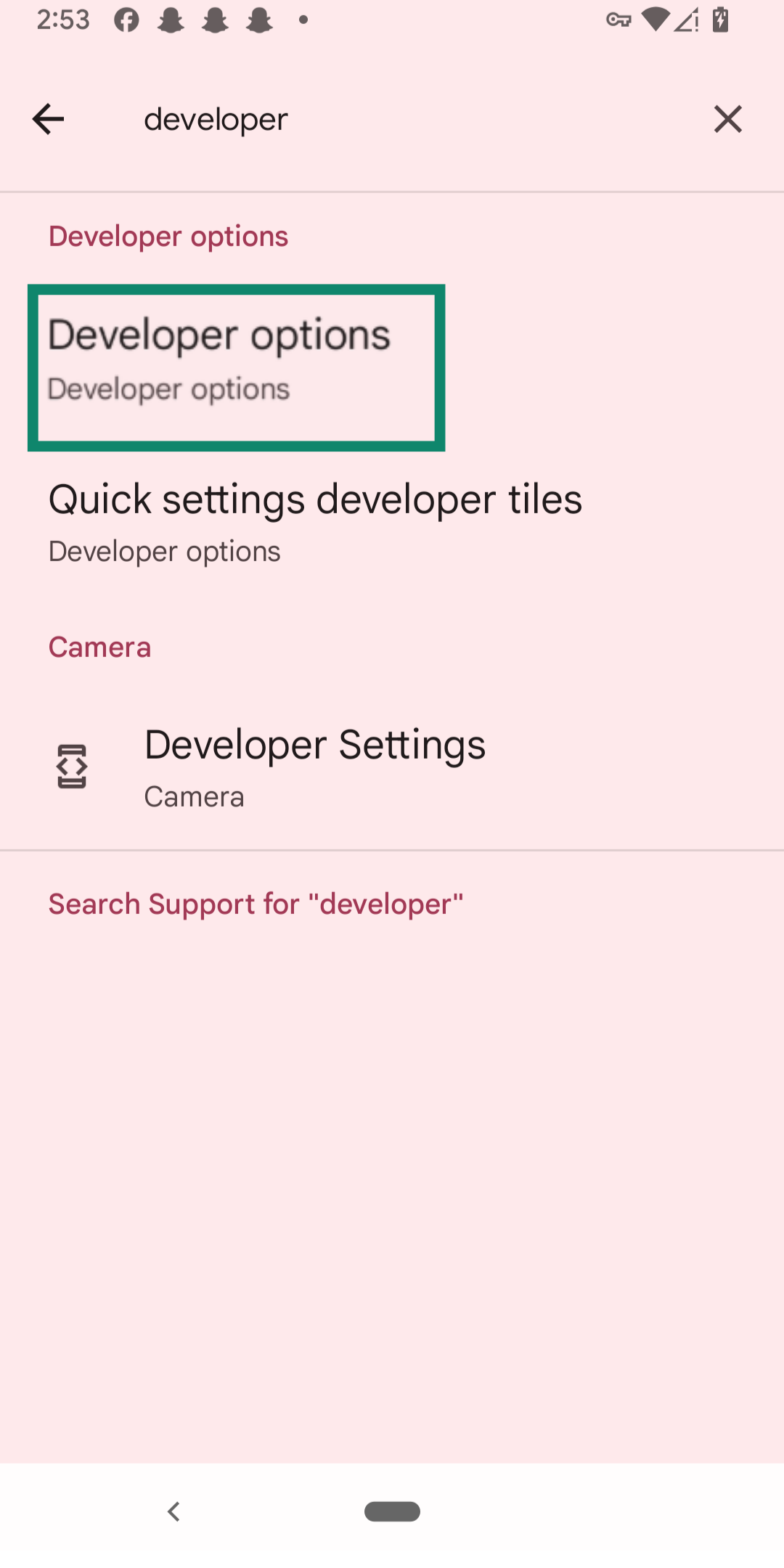 An Android screen showing the Developer options.