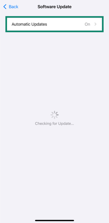 iPhone Software Update settings with Automatic Updates option highlighted.