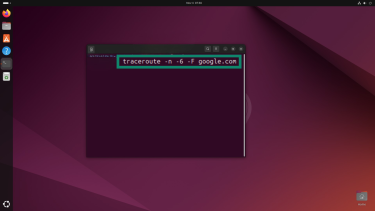 Add optional flags to the command as needed.