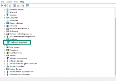 Screenshot of Network adapters in Device Management in Windows 11