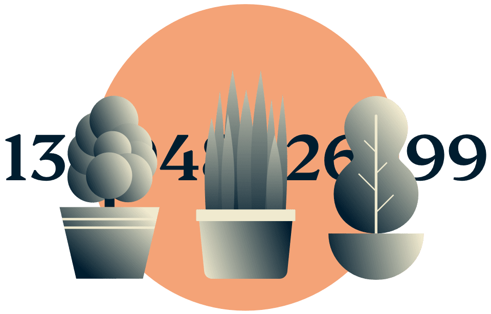 Disfarce o seu endereço IP: Plantas em vasos escondendo um endereço IP.