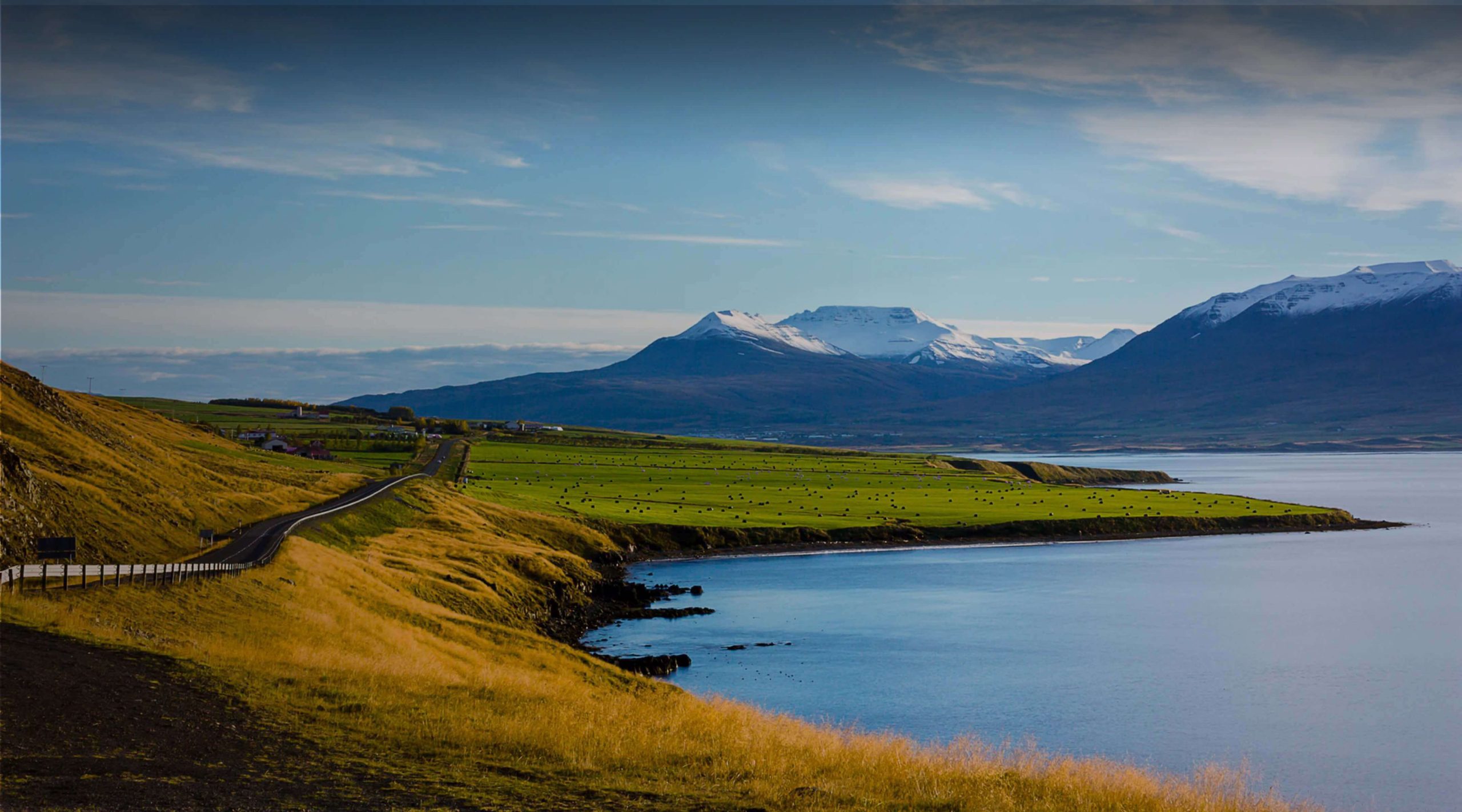 IJslandse VPN dienst