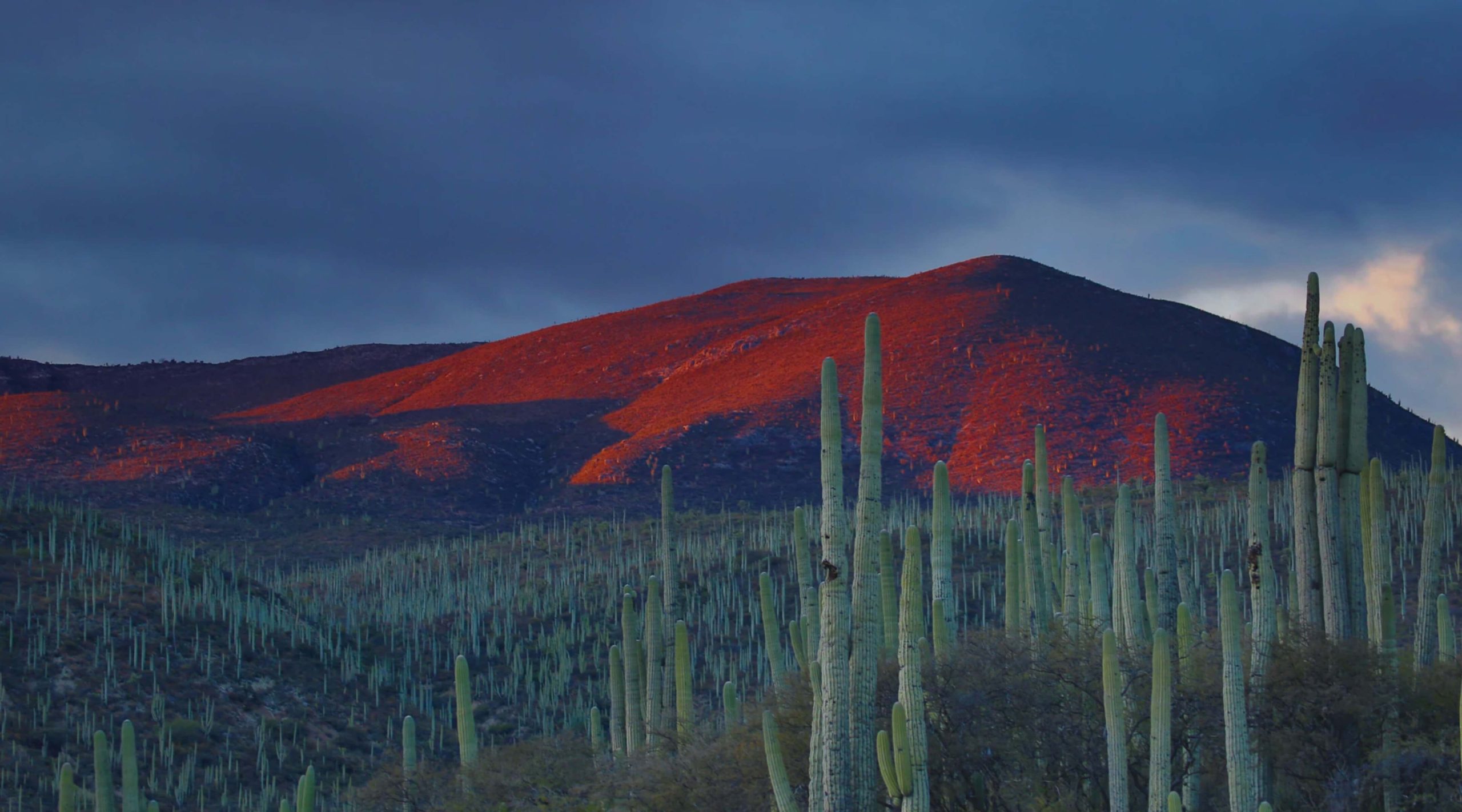 Baixe a melhor VPN para o México em 2025