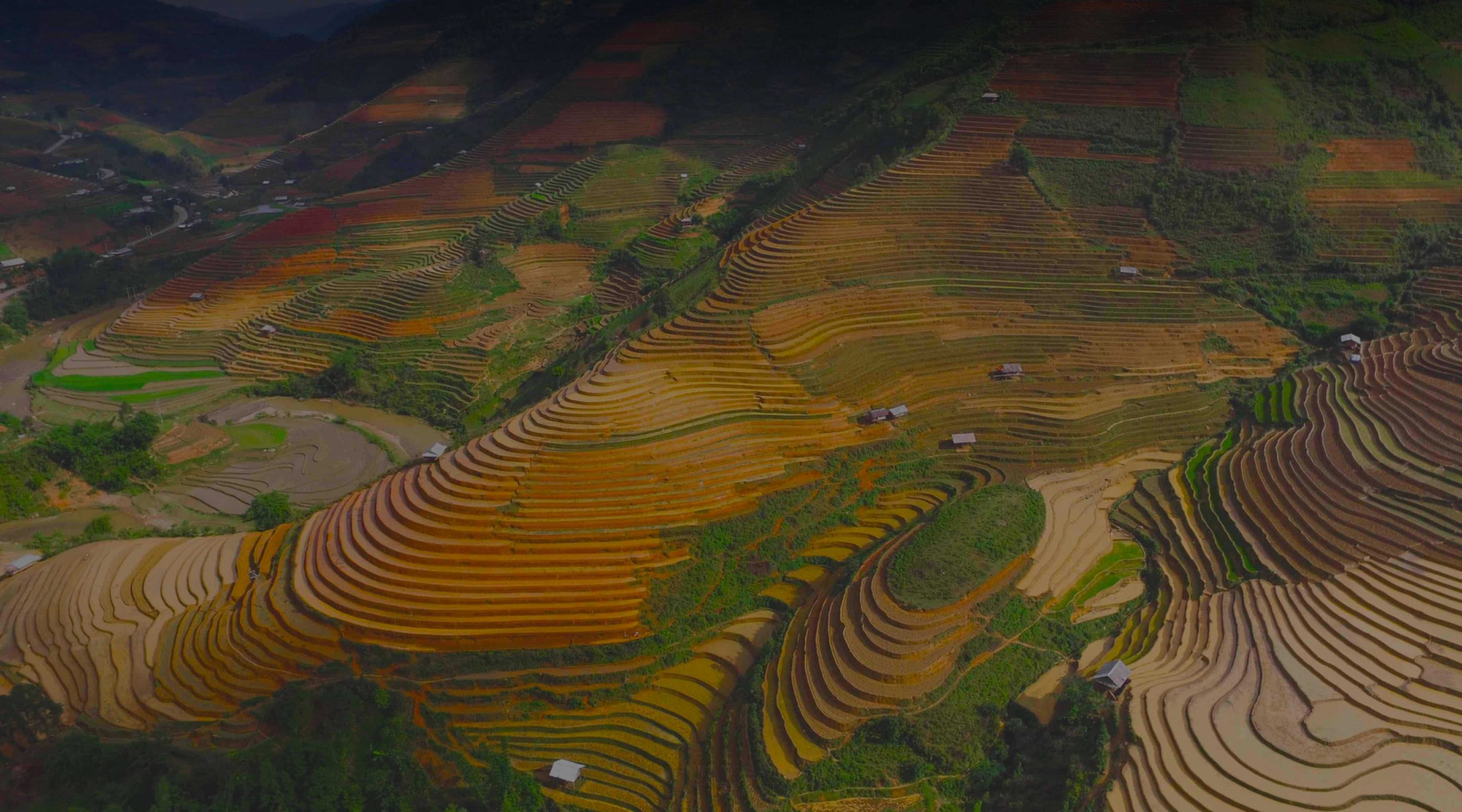 Лучший VPN-сервис для Вьетнама