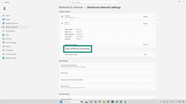 Screenshot of View additional properties option in Windows 11
