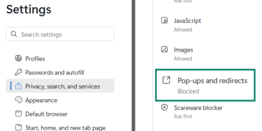 Google 5 Billionth Search 40