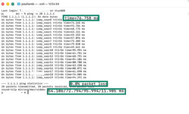 Ping, packet loss, and latency output values in Terminal on macOS