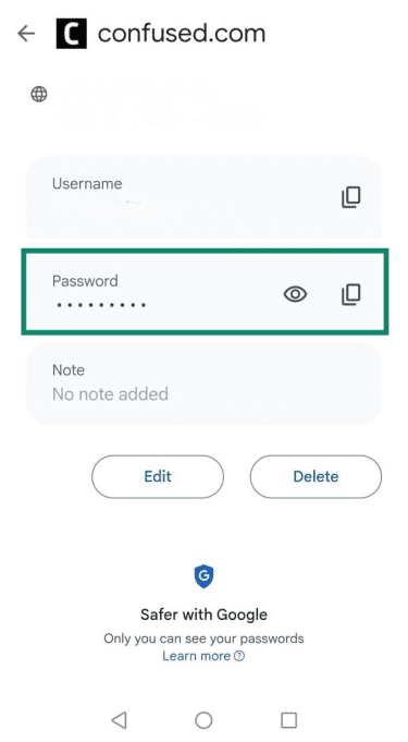 Google Password Manager showing account login details with password section highlighted