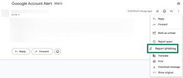 How to find the "Report phishing" button in Gmail.