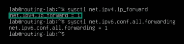 How to check IP forwarding status on Linux.