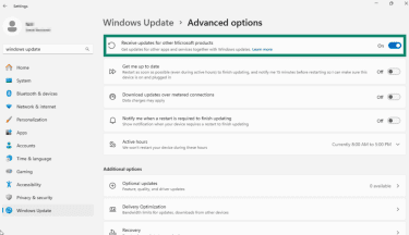 How to enable automatic driver updates for Windows 11.