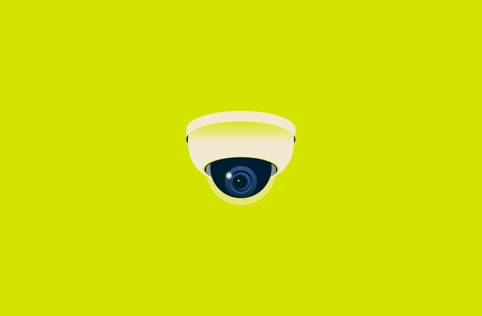 IP camera