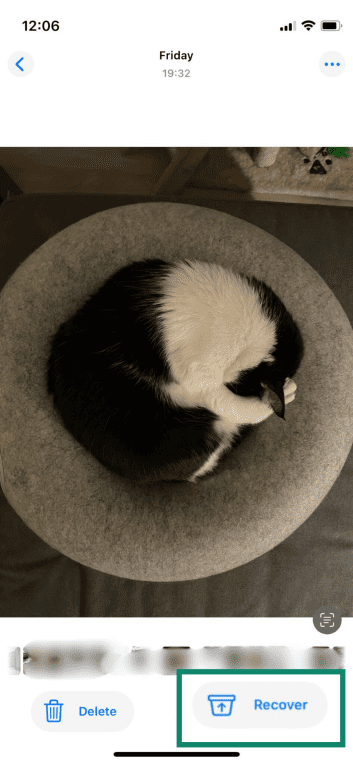 The Recover option in the recently deleted photos on iPhone.