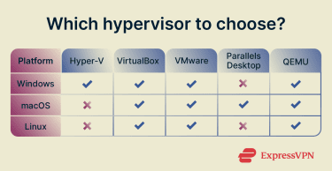 A table depicting which of the 5 listed hypervisors are available per OS (Windows, macOS, and Linux).